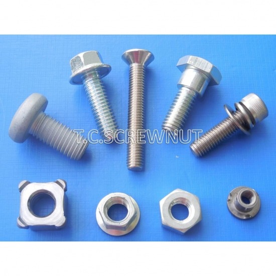 โรงงานผลิตสกรูน๊อต สมุทรสาคร - ที ซี สกรูน๊อต - สกรูพิเศษ - Special screw 1