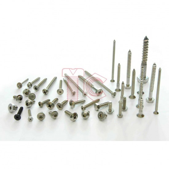 โรงงานผลิตสกรูน๊อต สมุทรสาคร - ที ซี สกรูน๊อต - Screw Tapping Stainless - สกรูเกลียวปล่อย สแตนเลส